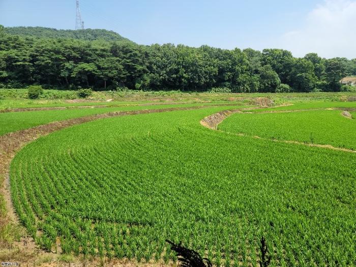 2024타경2567 법원경매 사진2 | 충남 당진시 대지 경매