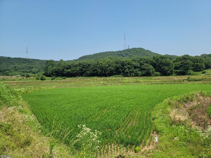2024타경2567 법원경매 사진8 | 충남 당진시 대지 경매