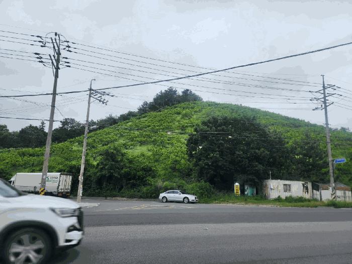 2025타경485 법원경매 사진10 | 경남 김해시 임야 경매