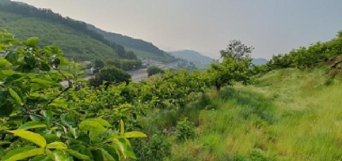 2025타경485 법원경매 사진16 | 경남 김해시 임야 경매
