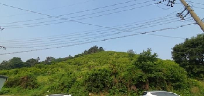 2025타경485 법원경매 사진22 | 경남 김해시 임야 경매