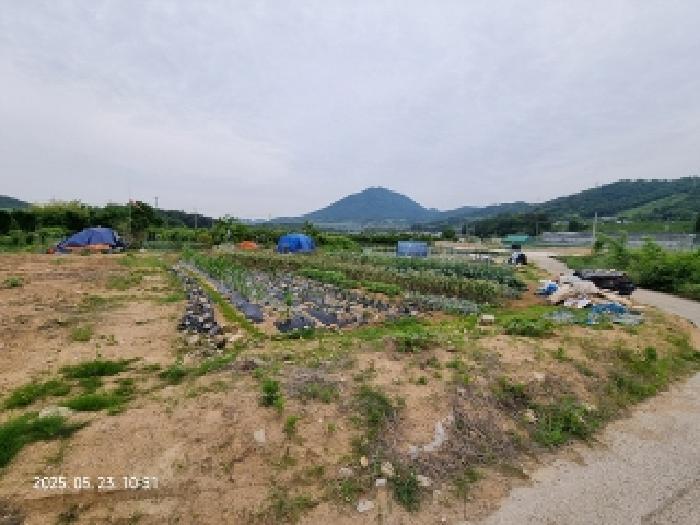 2025타경11426 법원경매 사진11 | 창원 의창구 전 경매
