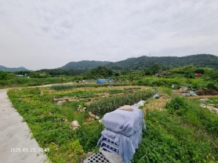 2025타경11426 법원경매 사진12 | 창원 의창구 전 경매