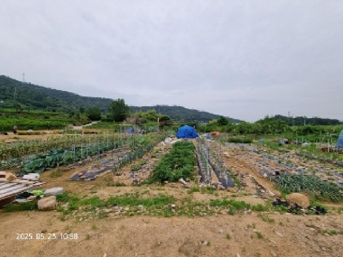 2025타경11426 법원경매 사진13 | 창원 의창구 전 경매