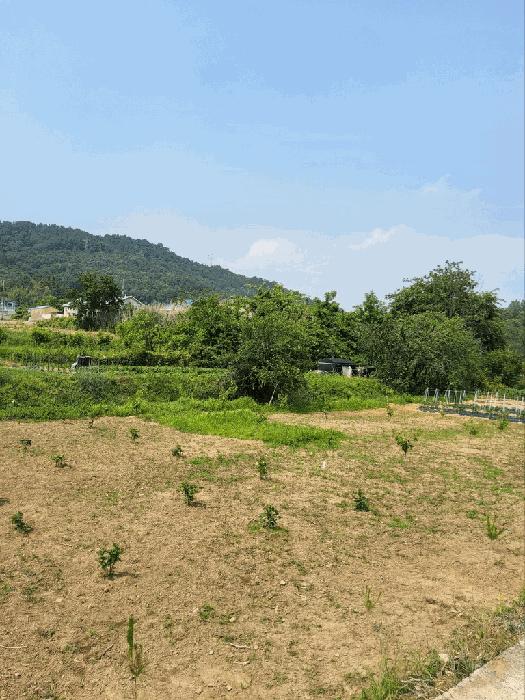 2025타경11426 법원경매 사진16 | 창원 의창구 전 경매