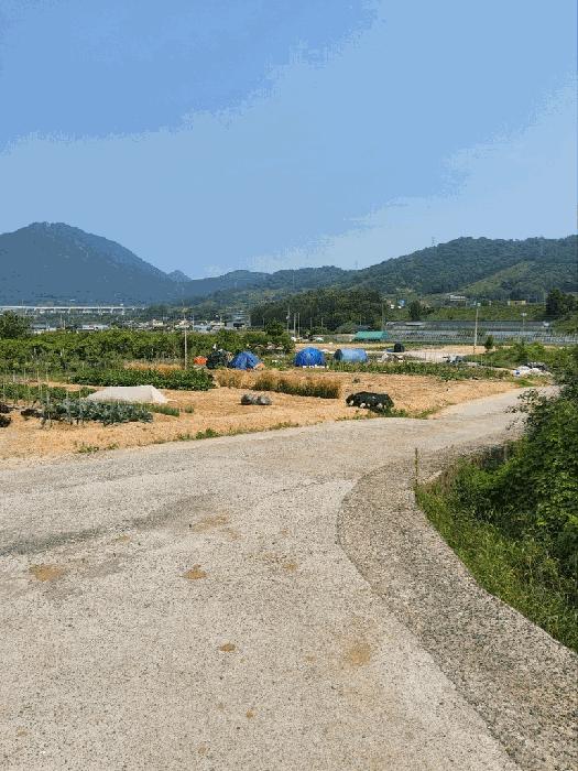 2025타경11426 법원경매 사진7 | 창원 의창구 전 경매