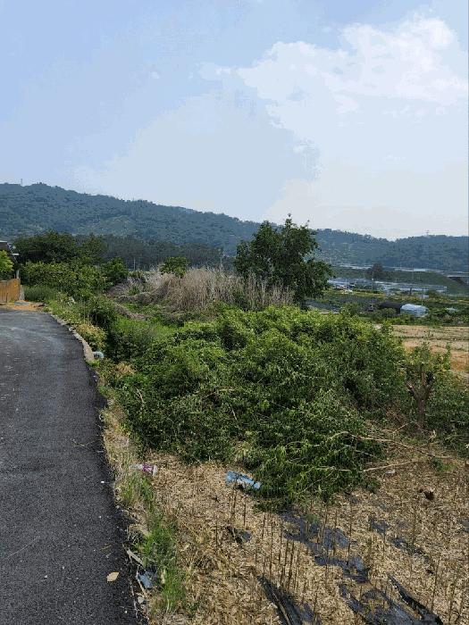 경상남도 창원시 의창구 동읍 용전리 173-2 법원경매 물건 대표사진