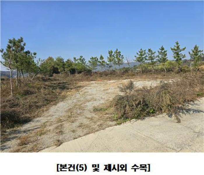 세종 장군면 평기리 287-39 공장 사진 3