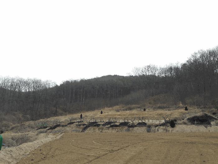2025타경1344 법원경매 사진3 | 세종 전동면 전 경매