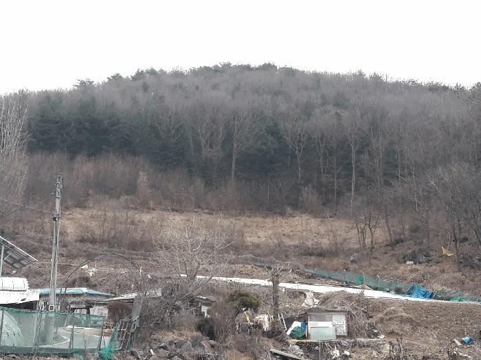 2025타경1344 법원경매 사진4 | 세종 전동면 전 경매