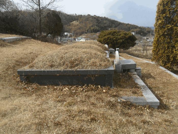 2024타경2704 법원경매 사진3 | 경남 함안군 전 경매