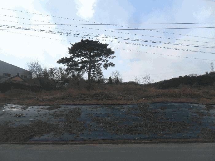 2024타경2704 법원경매 사진7 | 경남 함안군 전 경매
