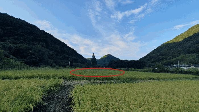 2024타경105313 법원경매 사진2 | 창원 마산합포구 전답 경매