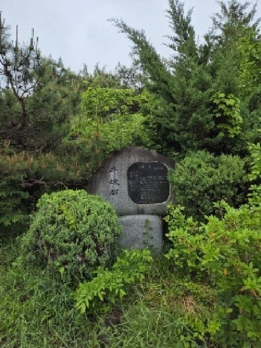 법원경매 2025타경2611 사진7 | 광주 광산구 신룡동 334-1 주택건물 경매