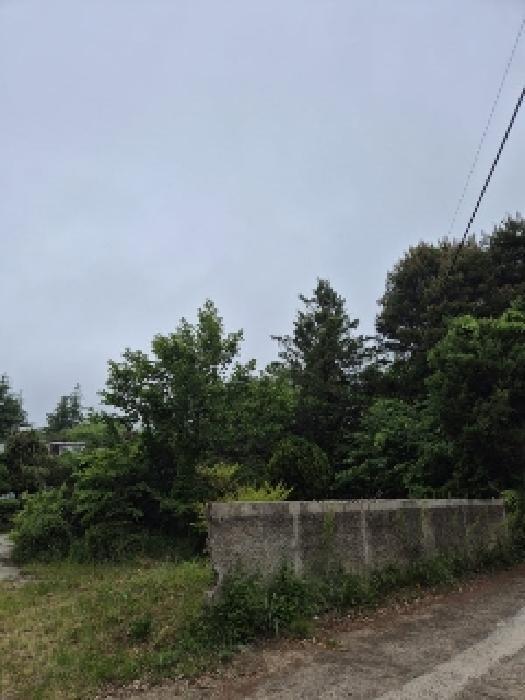 법원경매 2025타경2611 사진8 | 광주 광산구 신룡동 334-1 주택건물 경매
