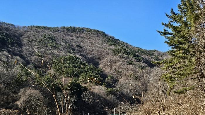 2024타경107364 법원경매 사진2 | 창원 마산합포구 임야 경매