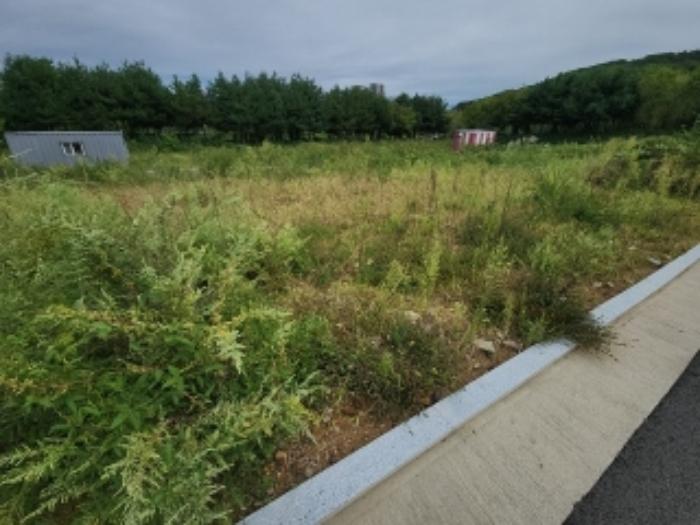 2024타경553772 법원경매 사진37 | 인천 중구 대지 경매
