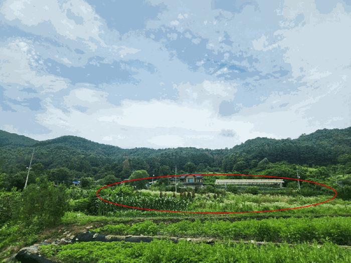 법원경매 2025타경1432 사진4 | 춘천시 남산면 방곡리 570 전답 경매