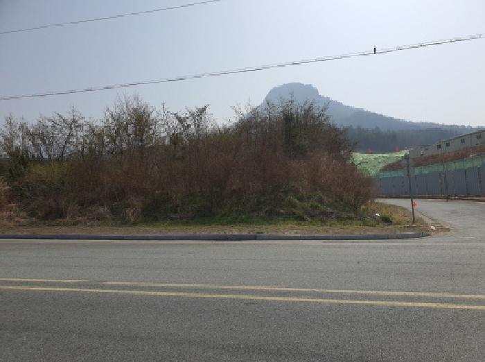 2025타경83 법원경매 사진4 | 전남 장흥군 기타 경매