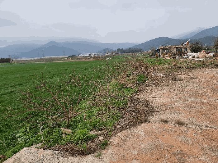 2025타경5221 법원경매 사진4 | 전남 장흥군 상가 경매