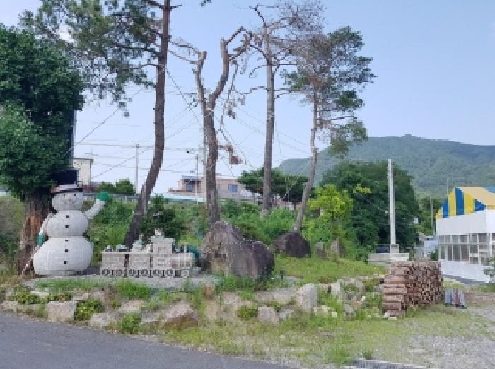 법원경매 2025타경50746 사진38 | 춘천시 동내면 펜션(캠핑장) 경매