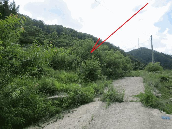법원경매 2025타경50765 사진2 | 홍천군 서면 마곡리 216-2 대지 경매
