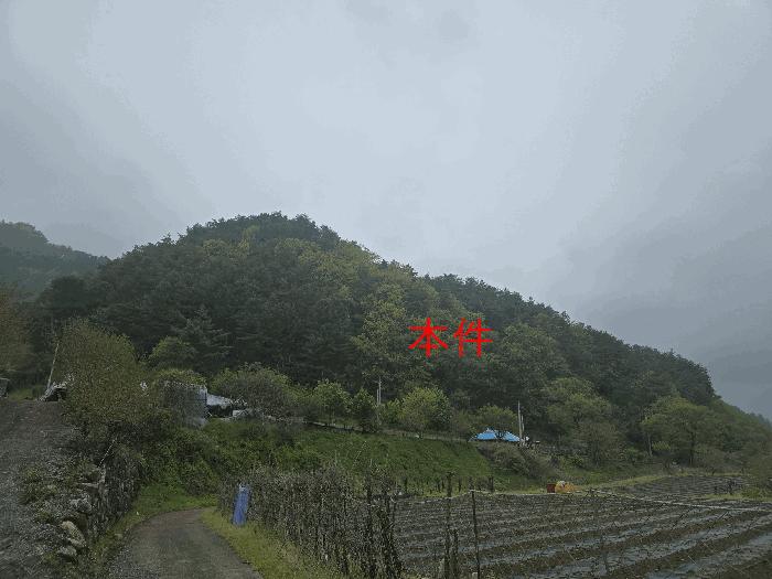 2025타경20488 법원경매 사진2 | 강원 원주시 임야 경매