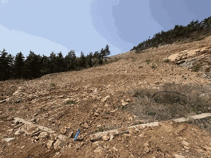 2025타경5240 법원경매 사진4 | 전남 장흥군 대지 경매