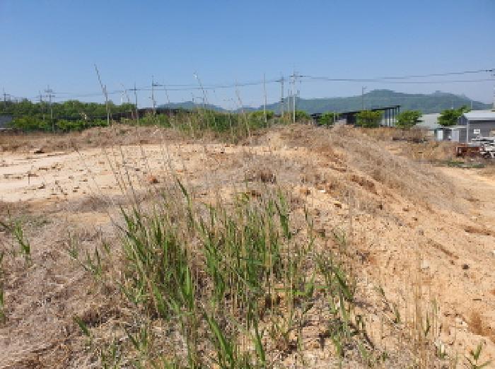 법원경매 2025타경5249 사진5 | 강진군 성전면 명산리 1490-10 공장용지 경매