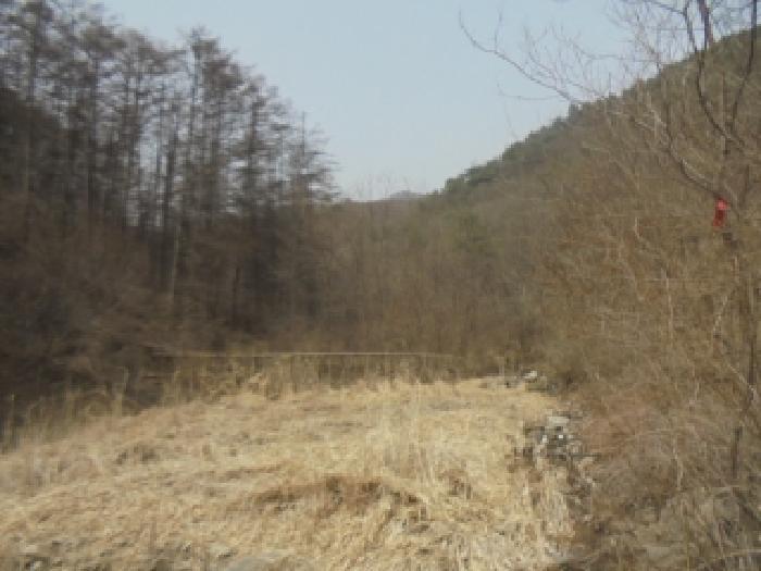 2025타경30425 법원경매 사진2 | 충북 충주시 하천 경매