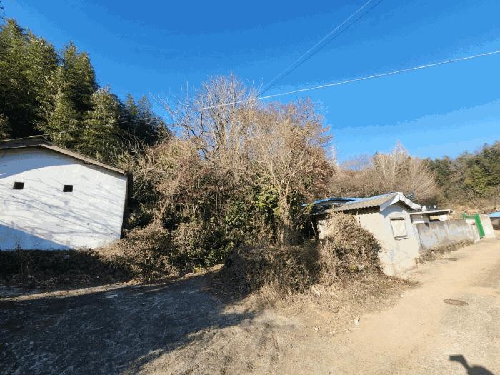 전남 고흥군 동강면 장덕리 533 전 사진 2