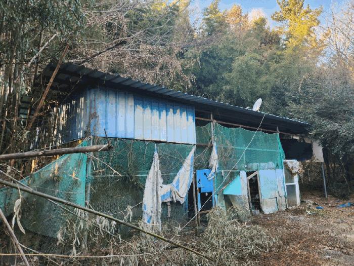 2024타경5483 법원경매 사진21 | 전남 고흥군 전 경매