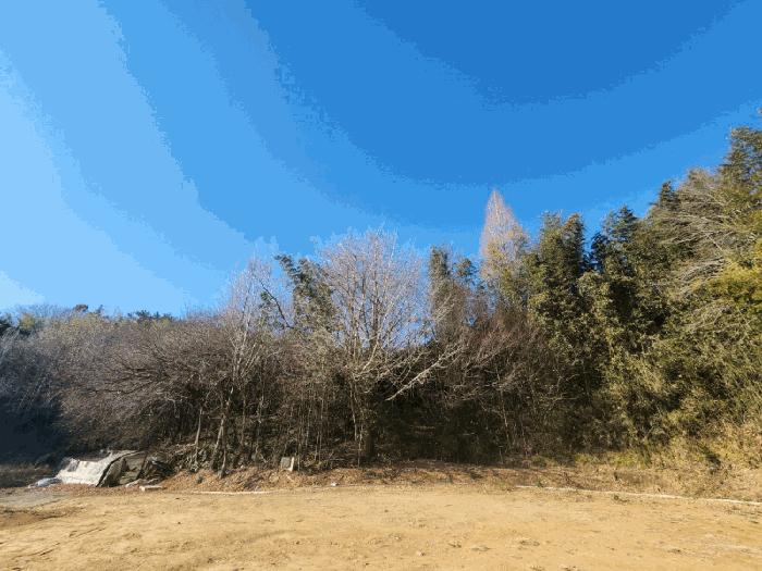 2024타경5483 법원경매 사진22 | 전남 고흥군 전 경매