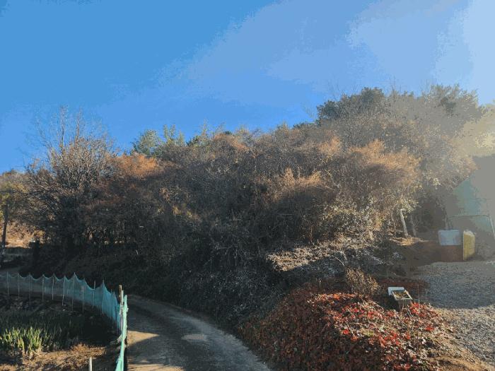 2024타경5483 법원경매 사진23 | 전남 고흥군 전 경매