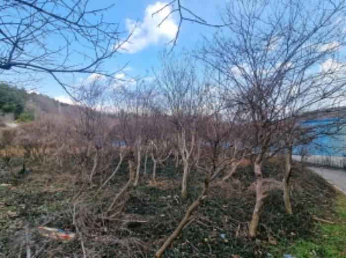 2024타경5483 법원경매 사진35 | 전남 고흥군 전 경매