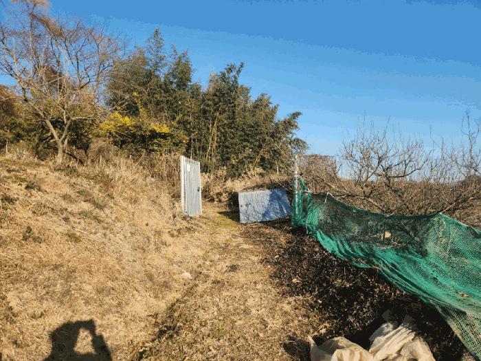 전남 고흥군 동강면 장덕리 533 전 사진 4