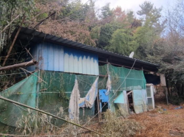 2024타경5483 법원경매 사진52 | 전남 고흥군 전 경매