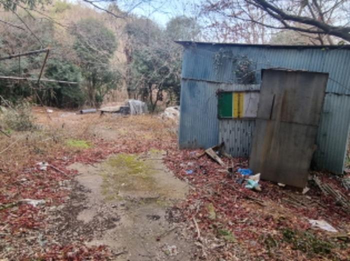 2024타경5483 법원경매 사진55 | 전남 고흥군 전 경매