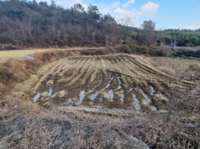 2024타경5483 법원경매 사진70 | 전남 고흥군 전 경매