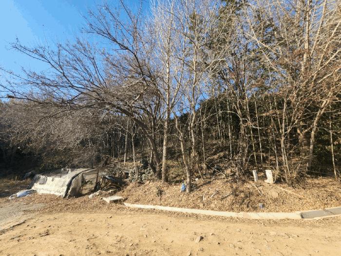 2024타경5483 법원경매 사진9 | 전남 고흥군 전 경매