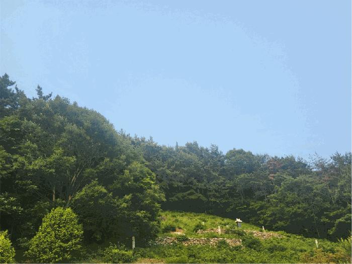 2025타경51500 법원경매 사진2 | 전남 여수시 임야 경매