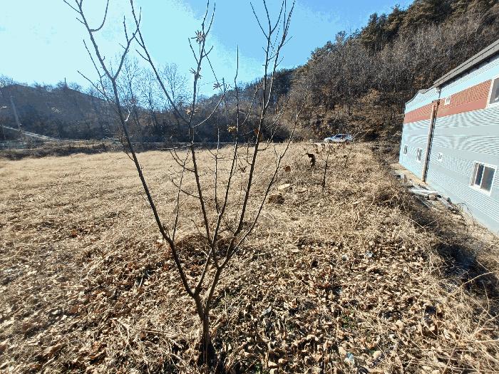 법원경매 2025타경494 사진2 | 산청군 금서면 신아리 1000-3 답 경매