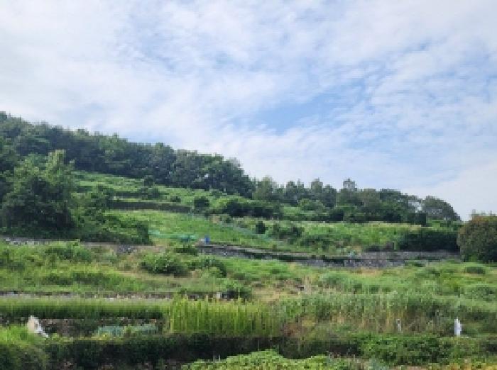 2025타경51548 법원경매 사진7 | 전남 여수시 임야 경매