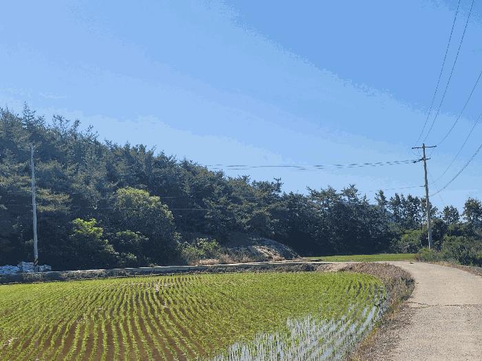 2025타경51572 법원경매 사진2 | 전남 고흥군 임야 경매