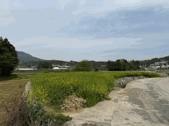 2025타경656 법원경매 사진4 | 경남 남해군 답 경매
