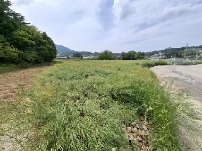 2025타경656 법원경매 사진5 | 경남 남해군 답 경매