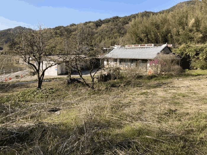 2025타경51024 법원경매 사진9 | 전남 무안군 대지 경매