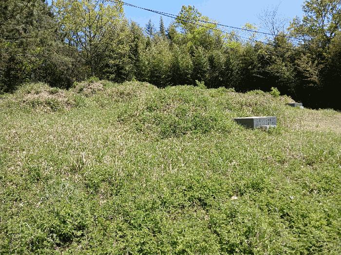 전라남도 함평군 학교면 죽정리 산104-1 법원경매 물건 대표사진