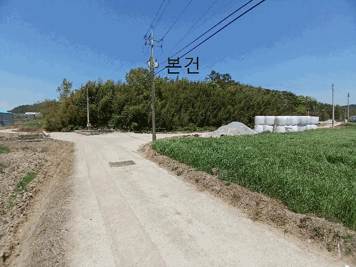 2025타경51038 법원경매 사진3 | 전남 함평군 임야 경매