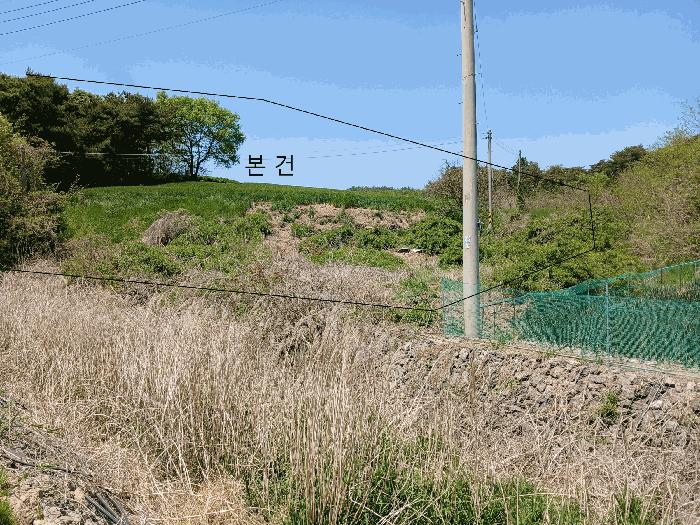 2025타경51038 법원경매 사진4 | 전남 함평군 임야 경매